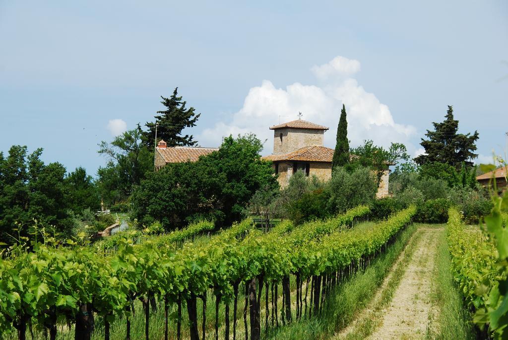 בארברינו די ואל ד'אלסה B&B Le Querciole Del Chianti מראה חיצוני תמונה